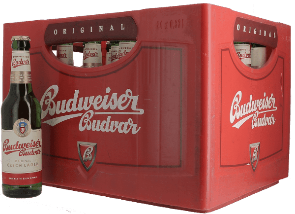 BUDWEISER 5° VC 24X33CL