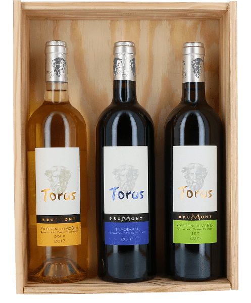 COFFRET DÉCOUVERTE "TORUS" EN CBO DE 3 BOUTEILLES ALAIN BRUMONT