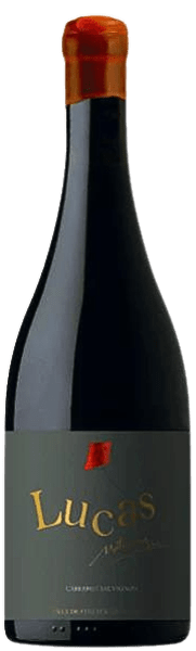 LUCAS CABERNET SAUVIGNON VALLE DE COLCHAGUA MATURANA 2015 ROUGE