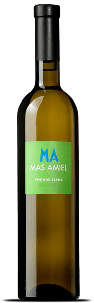 VINTAGE AOP MAURY MAS AMIEL 2022 BLANC