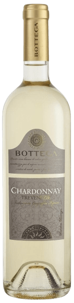 CHARDONNAY IGT TREVENEZIE BOTTEGA SPA 2023 BLANC